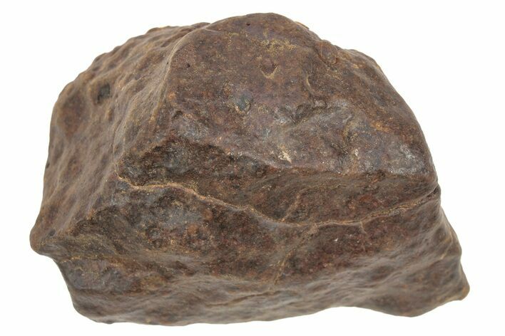 Chondrite Meteorite ( g) - Western Sahara Desert #233184